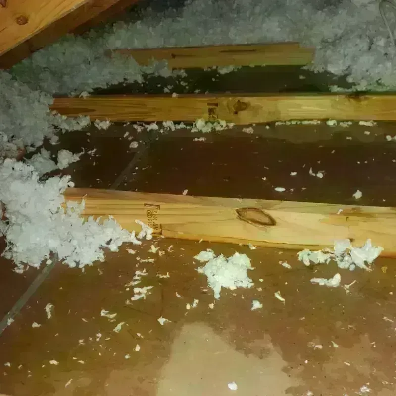 Attic Water Damage in Saint Clair, MO