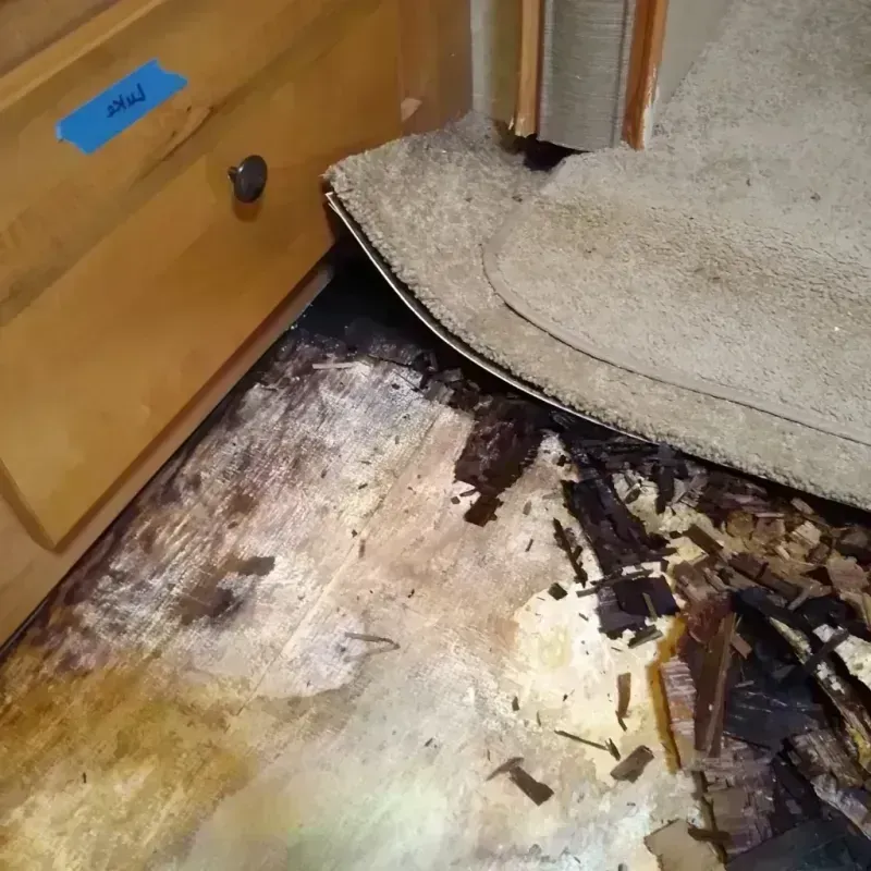 Wood Floor Water Damage in Saint Clair, MO